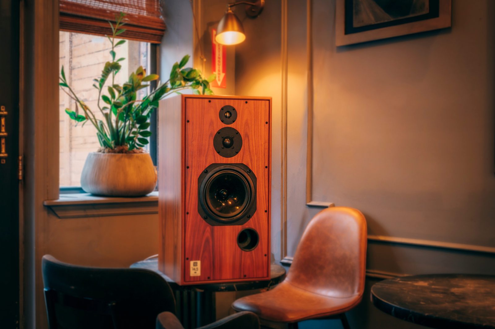 Harbeth HL5 speaker in wood veneer by the window at Kissa Kissa